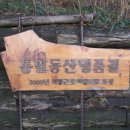 동산초등길 Daum카페