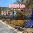 교동면-7 | 강화도 화개정원 모노레일 정보, 수선화 명소 전망대 풍경 후기