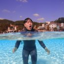 (주)진우투어 이미지