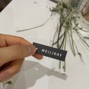 메일리데이 이미지