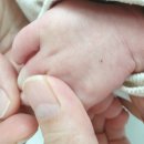 참사랑 어머니회 이미지