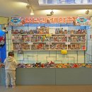 펫 뮤지엄 이미지