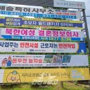 행정용 20 이미지