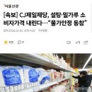 [속보] CJ제일제당, 설탕·밀가루 소비자가격 내린다…“물가안정 동참” 이미지