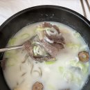 맛설렁탕 | 평창 맛집 대관령설렁탕 맛, 메뉴, 솔직후기