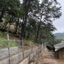 호우미농장 경기일보