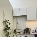 다헤어 | 머리결+두피 둘 다 살린 씨스팟 헤어 후기