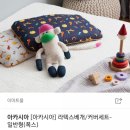 도도 켄넬 이미지