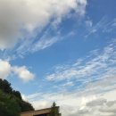 별이내리는집 | 포천 테라스카페 카페 별이 내리는 숲 방문후기