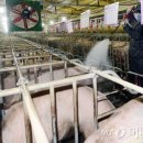 기립농장 이미지