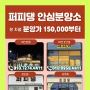 퍼피댕 강아지분양 안심분양소 청주점 말티푸미니비숑토이푸들 이미지