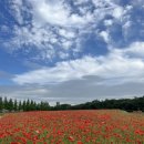 갯골생태공원 이미지