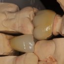 민치아치과기공소 이미지