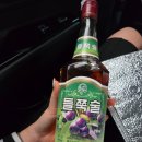 북한술 류경공장 들쭉술 마셔본 후기 + 양양 어민후계자 횟집