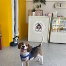 두몽언니 이미지