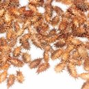 아리랑과학 이미지