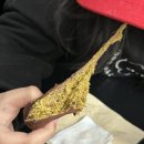 곡두카페