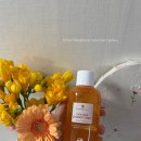 부처천 | 피부진정 건조한피부추천 블루밍셀 시카 스킨 에센스토너