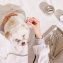 현대종합동물병원 이미지