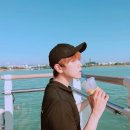 산들 강아지 이미지