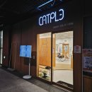 캣플헤븐 엘리스빌 인천서구점 | 청라데이트하기 좋은 고양이카페 캣플헤븐 루원시티인천점, 깔끔한 시설+넓은 실내+귀여운 냥이 천국