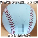 통증 잡는 마사지볼 이미지