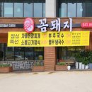 꼼돼지 이미지