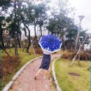 에쓰비프린팅 | 우정양산 눈꽃아래 3단우산 사계절쓰기좋은우산