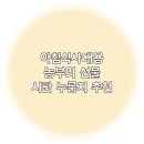 아침식사대용 : 농부의 선물 누룽지 추천