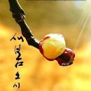 지인공간 이미지