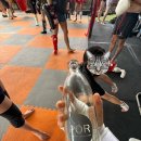 THE 파란 | 치앙마이-더 베어스 무에타이클래스 후기 The bear fight club Muaythai