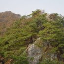 화악지맥 마무리산행 (삼악산-계관산-월두봉-보납산) 이미지