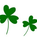 마당왕족발보쌈 이미지