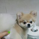 현대미용타운 이미지