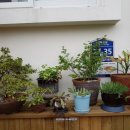 바람솔솔게스트하우스 이미지