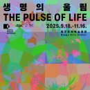 생명의 시작 | 가을과 잘 어울리는 전시…제10회 대구사진비엔날레 &#39;생명의 울림&#39; 관람 후기