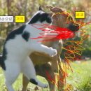 헐