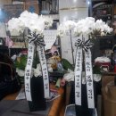 송생초등학교 이미지