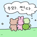 화이트크리닝 알파 이미지