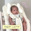 초아픽 | 엔젤앤비 스토케 트립트랩 뉴본커버 사용 후기 • 텐셜 에어매쉬 • 태열아기 추천