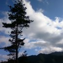 내 마음을 풍선에 이미지