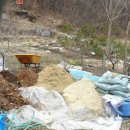 블루베리를 심기 위한 유기농 퇴비 만들기^^ 이미지