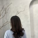 블레스헤어 네이버블로그