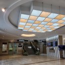 베뉴비안 이미지