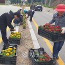 방산면사무소 이미지