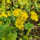 운종경로당 이미지