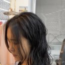 라인컷 이미지