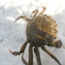 분오리 저수지 이미지