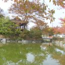 국화호수 이미지