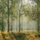 현대인-공존 이미지